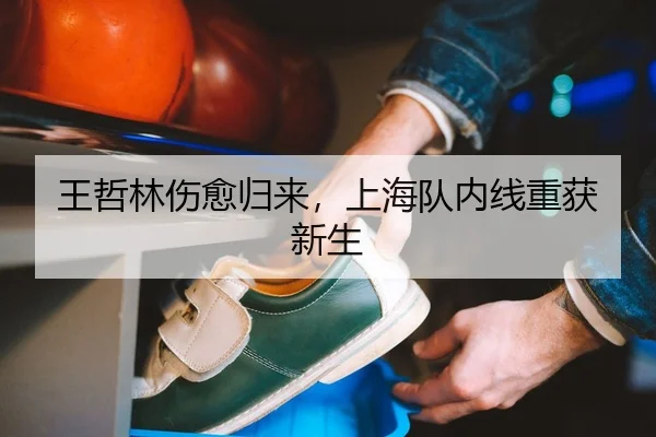 王哲林伤愈归来，上海队内线重获新生 - leyu